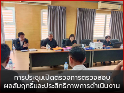 การตรวจสอบผลสัมฤทธิ์และประสิทธิภาพการดำเนินงาน
